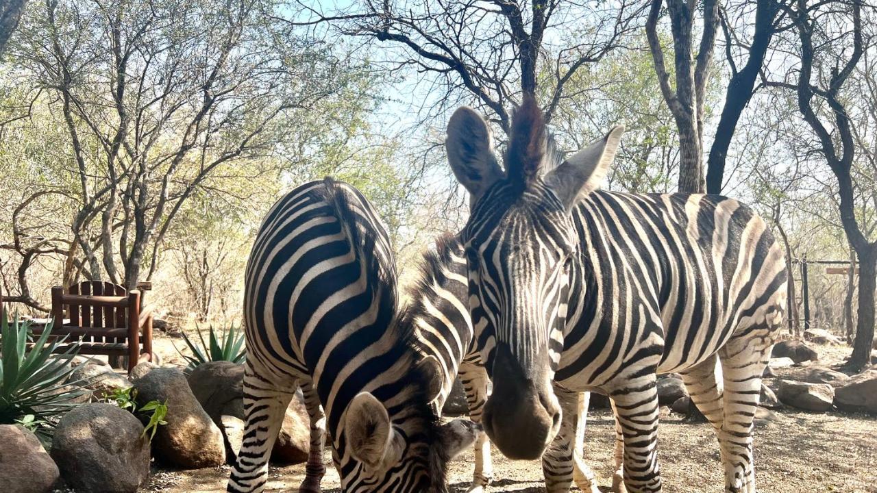 Apartmán Kruger Kumba - Lahlekile Nathi Marloth Park Exteriér fotografie