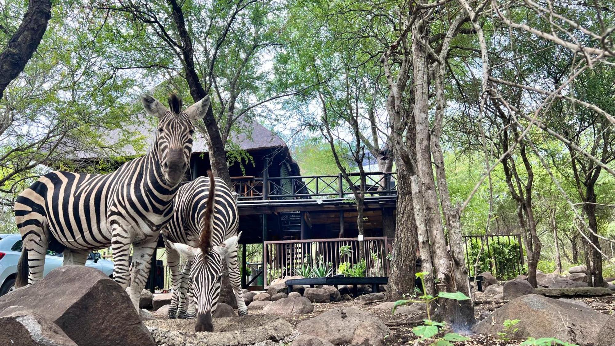 Apartmán Kruger Kumba - Lahlekile Nathi Marloth Park Exteriér fotografie